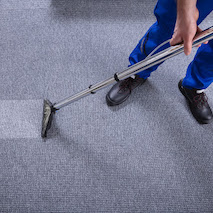 carpet-cover.jpeg